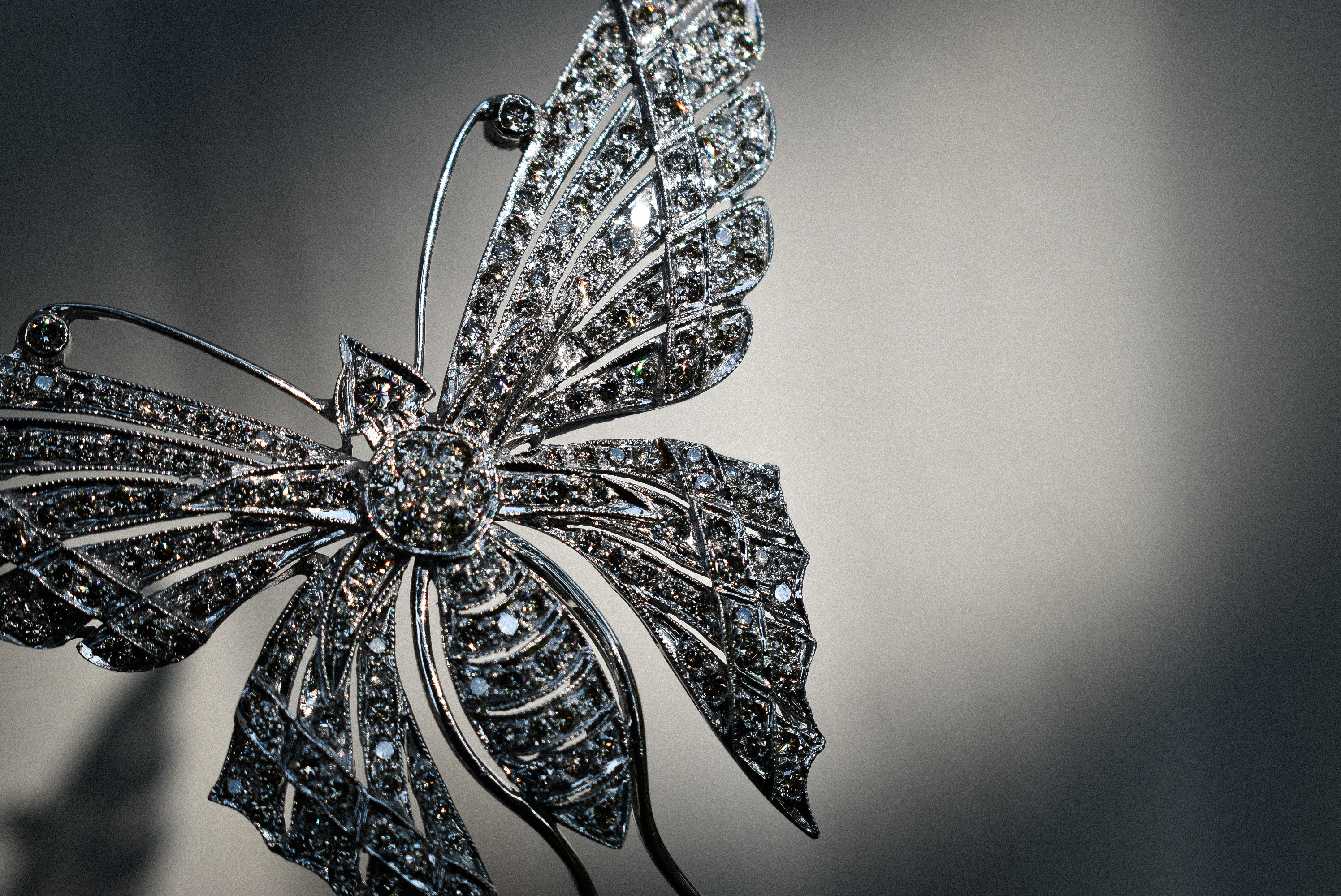 Diamond Butterfly